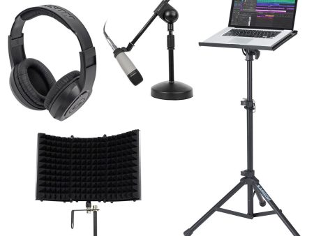 Samson C01 Studio Condenser Recording Microphone Mic+Stands+Headphones+Shield Cheap