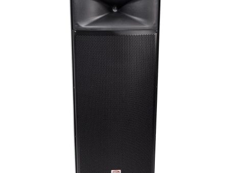 Rockville SPGN254 Dual 15” 3000w 2-Way 4-Ohm Passive DJ PA Speaker ABS Cabinet Cheap