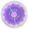 Rockville RMC80LW 8  800w 2-Way White Marine Speakers w Multi Color LED + Remote Online